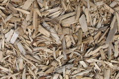 biomass boilers Gristhorpe